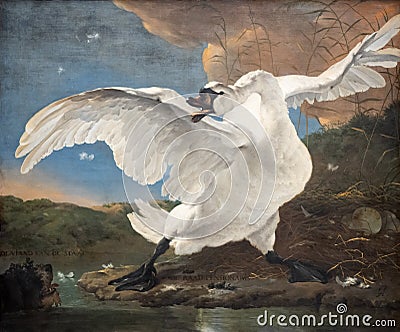 The threatened swan, painting by Jan Asselijn Stock Photo